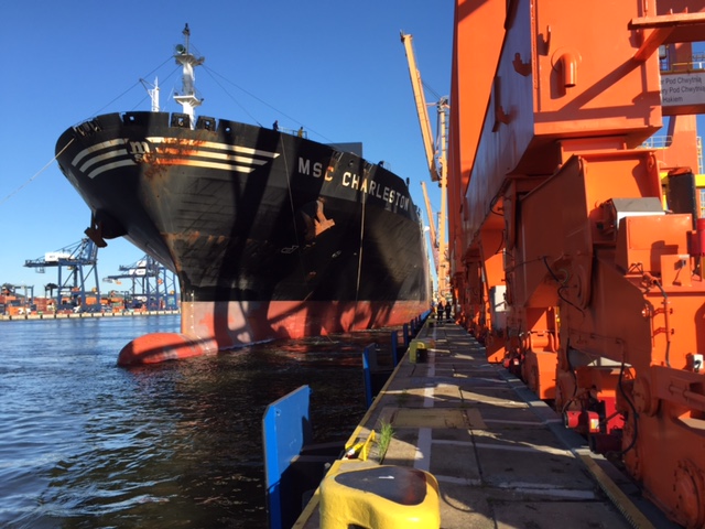 MSC Charleston (Fot.: BCT)